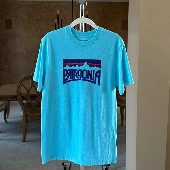 Patagonia Short Sleeve Tee - Picture 1 of 5